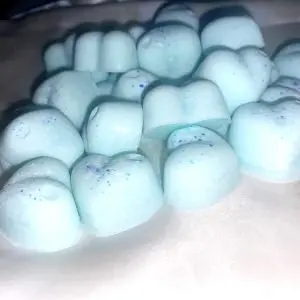 WAX MELTS