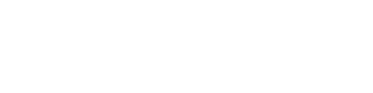 Bodibro