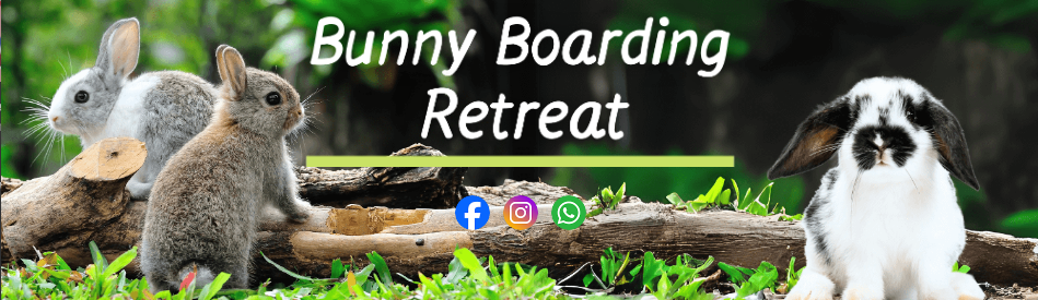 Bunny Boarding Retreat