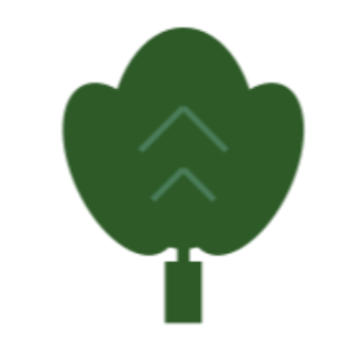 Eco Tree Surgeons Cork