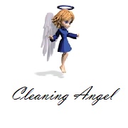 Cleaning Angel