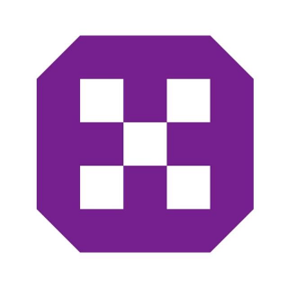 Torrent Electricals Ltd