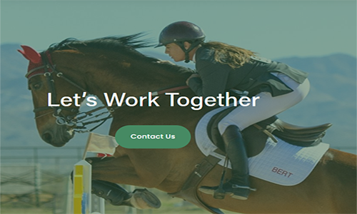 HORSE RIDING LESSONS